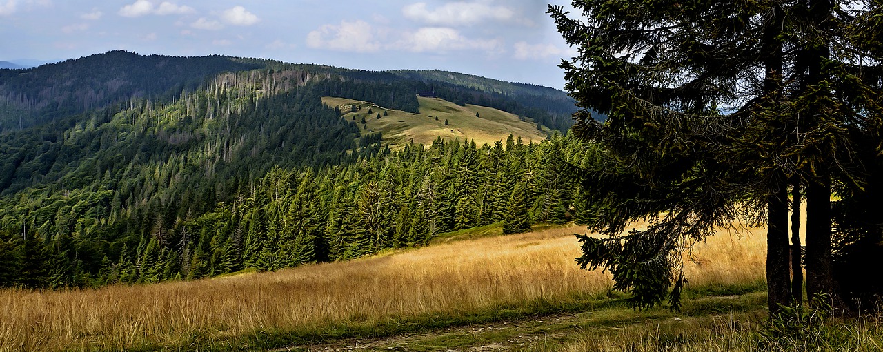 Zakończenie Sezonu